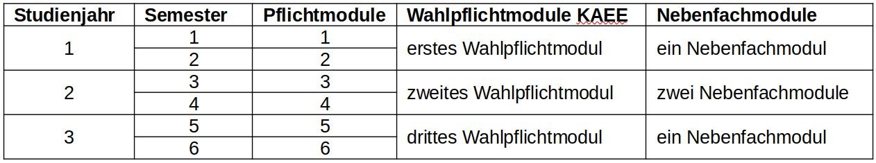 BA-Studienverlaufsplan