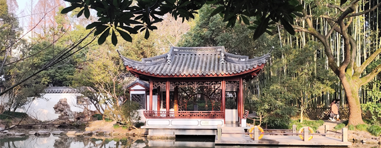 Ir 743x285