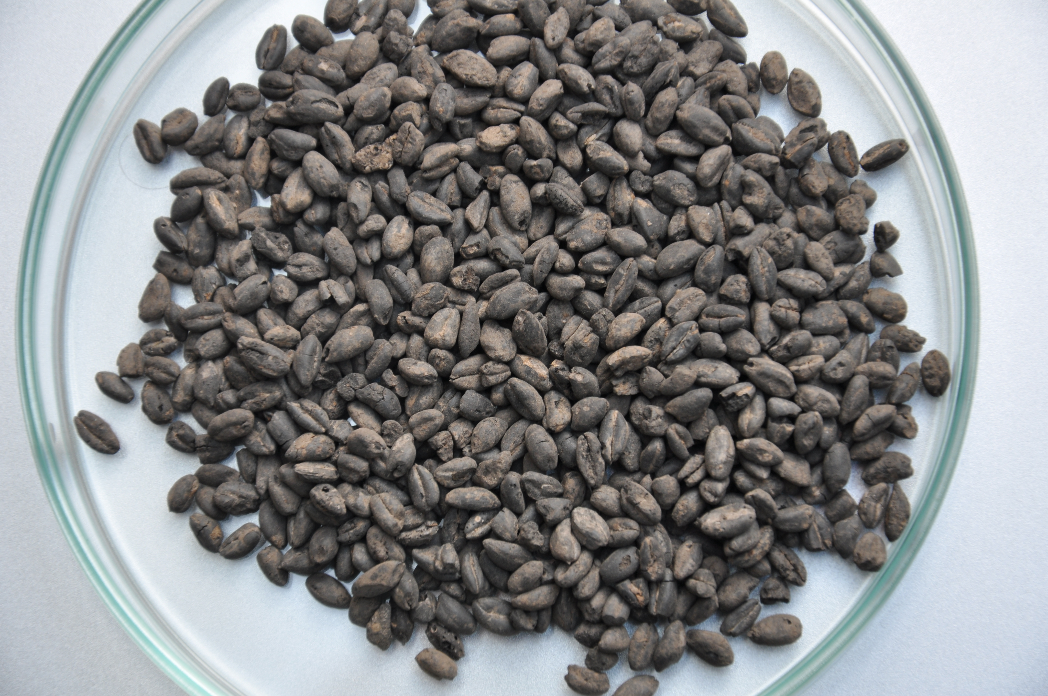 10 pm dfg projekt c zerl