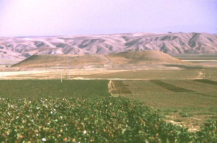 Ziyaret tepe